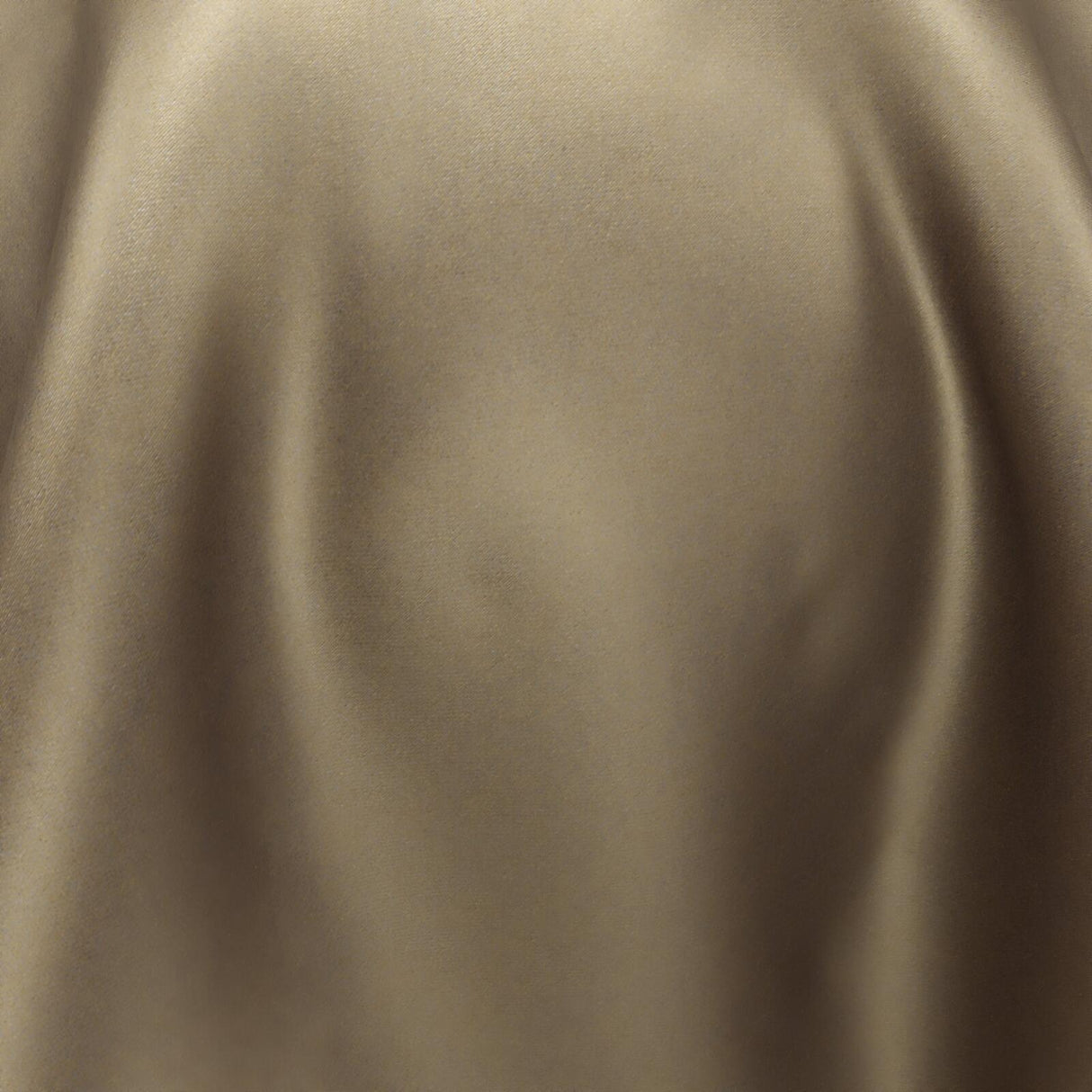 South Face 086 Mocha