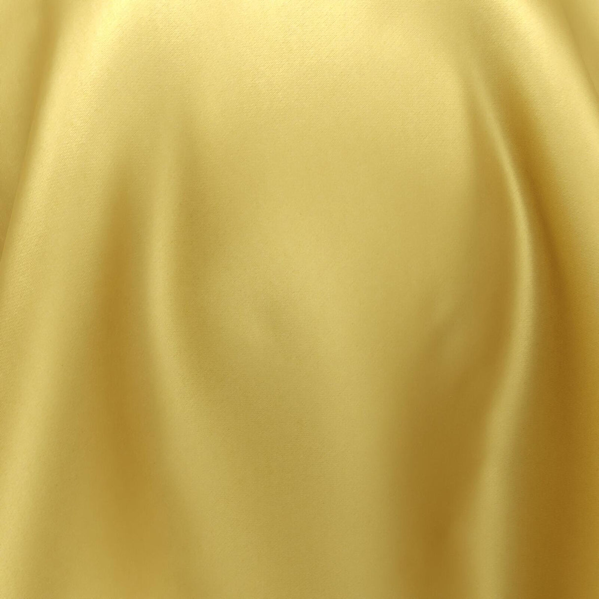 South Face 102 Mimosa