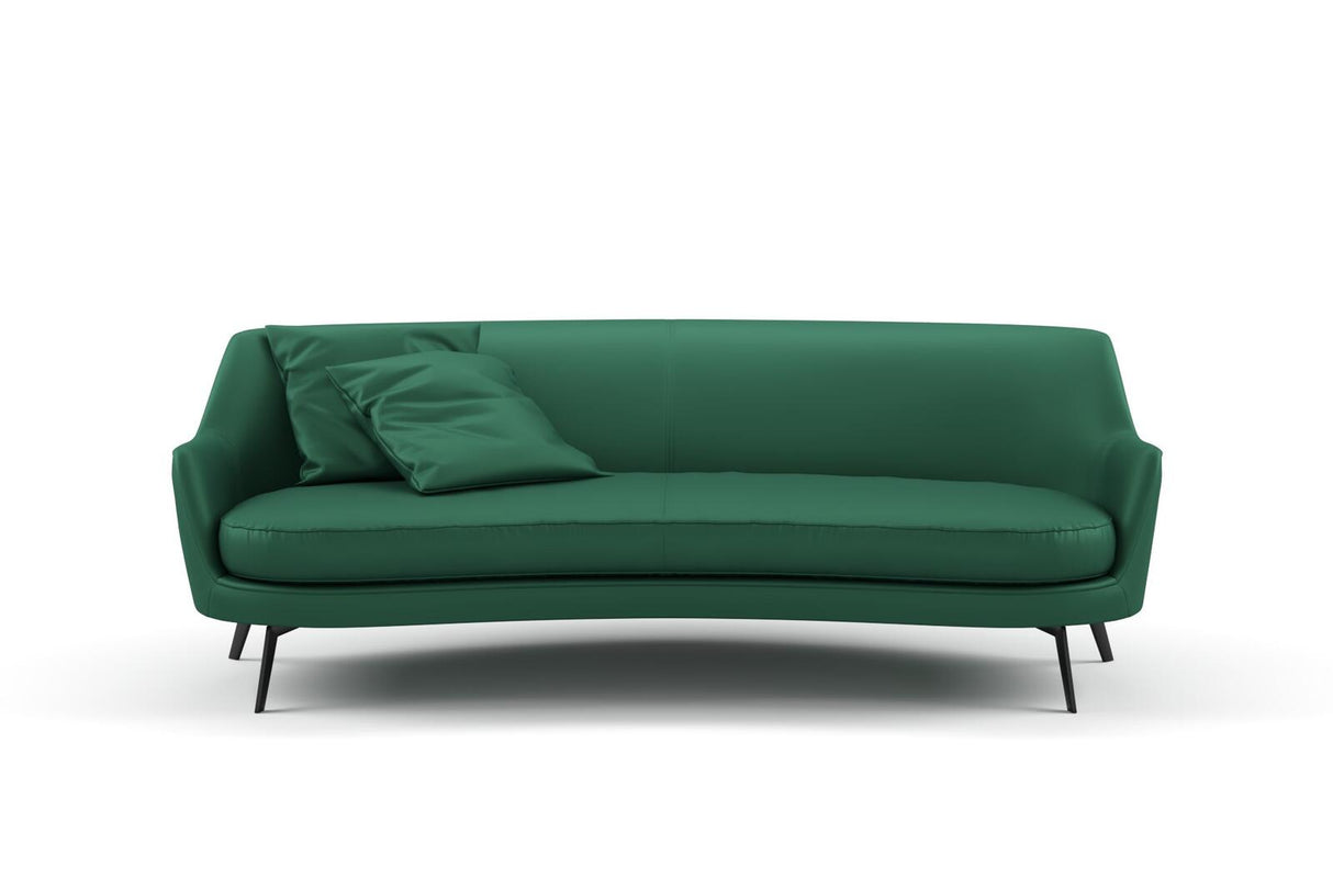 South Face 113 Basil