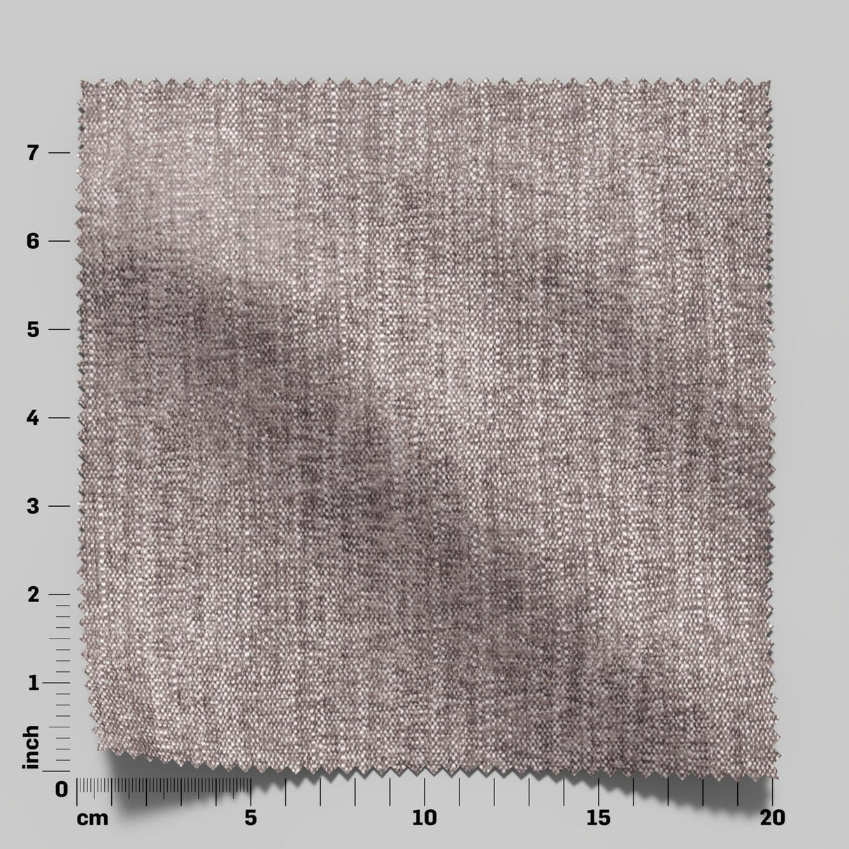 Trezor 29 Chinchilla