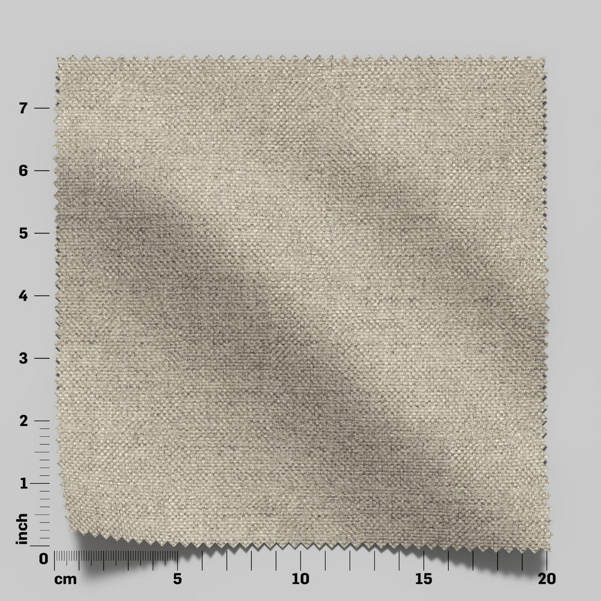 Wilderness 06 Mushroom