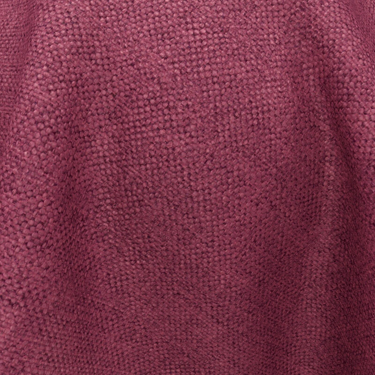 Wilderness 20 Raspberry