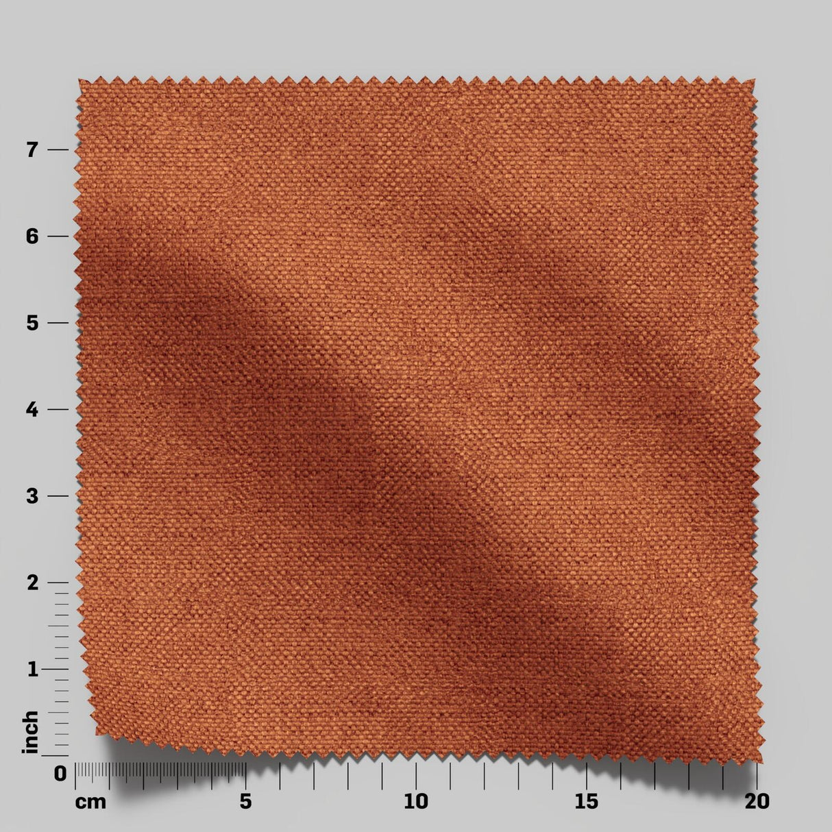 Wilderness 22 Pumpkin