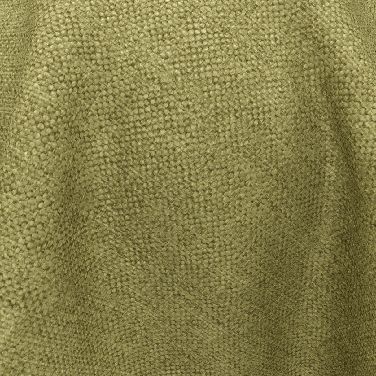 Wilderness 24 Avocado