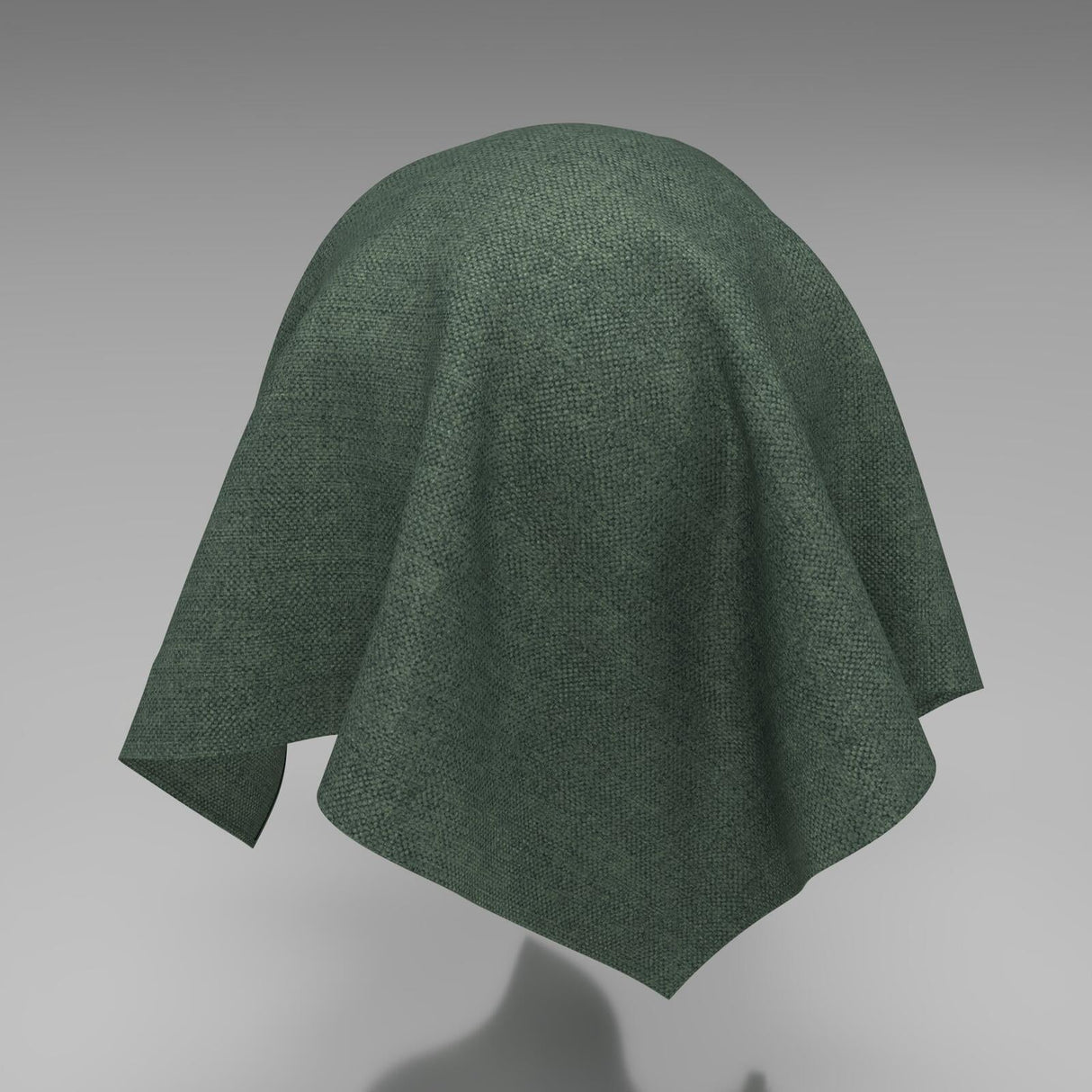 Wilderness 26 Cactus