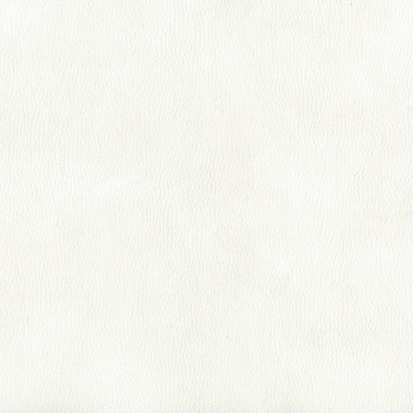 Alamo 01