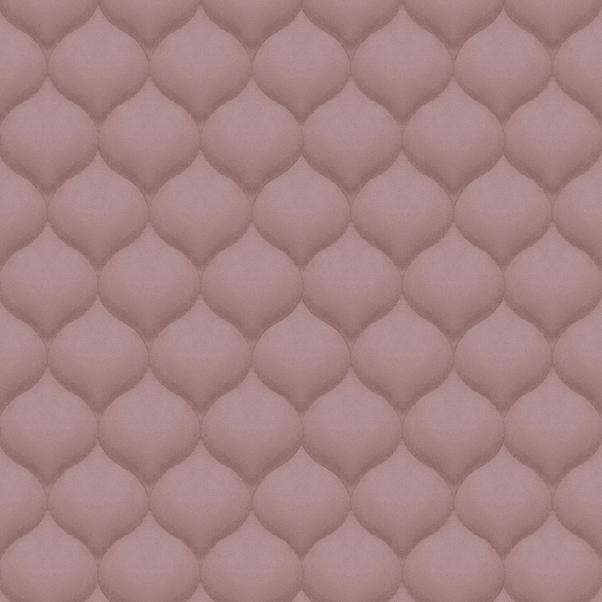 Amsterdam Lemon 03