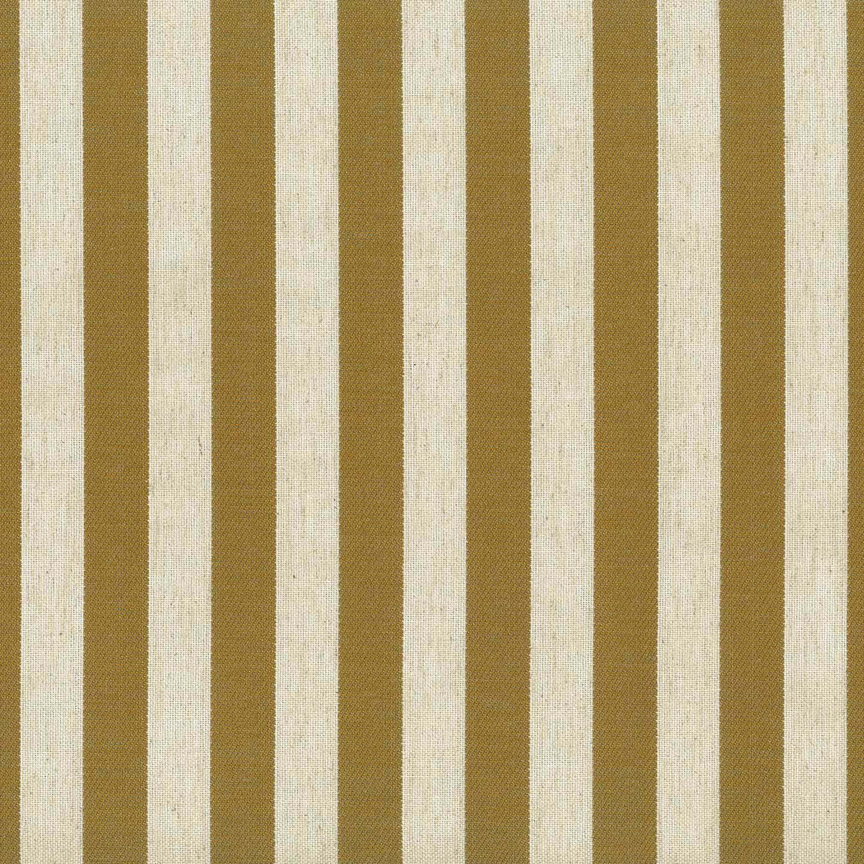 Belvedere Stripe 25