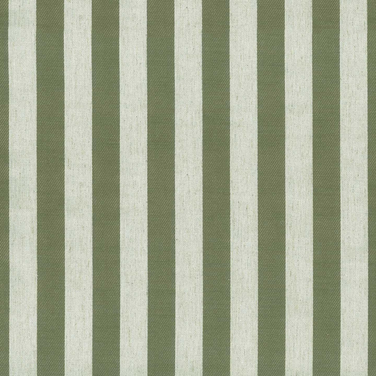 Belvedere Stripe 38