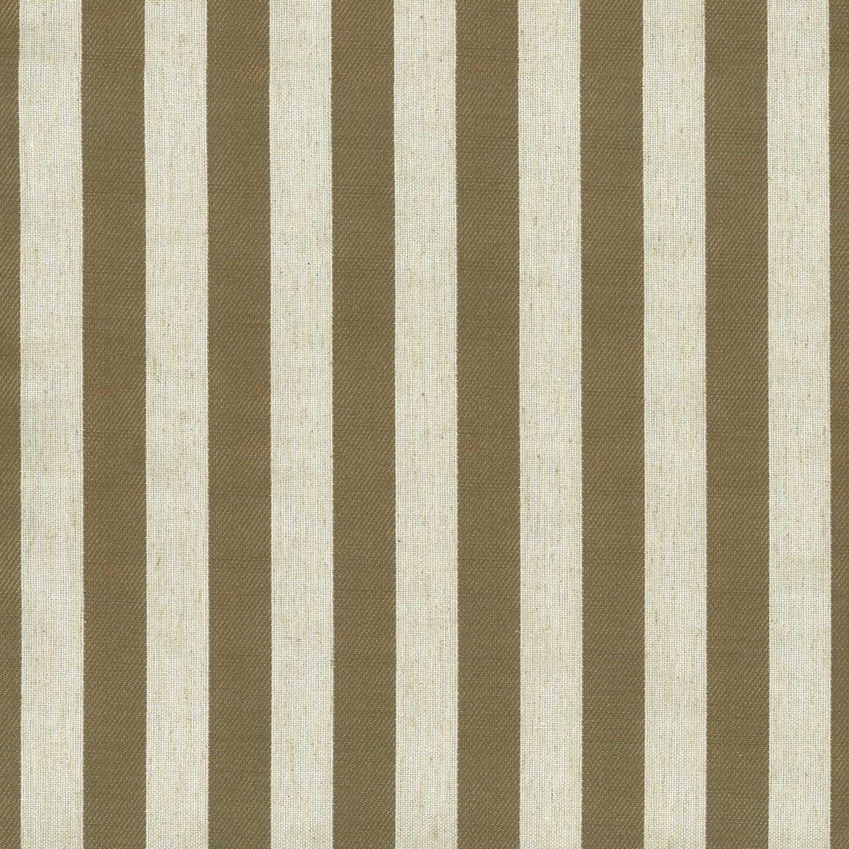 Belvedere Stripe 54