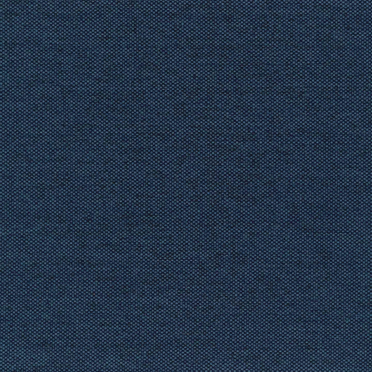 Bombay 37