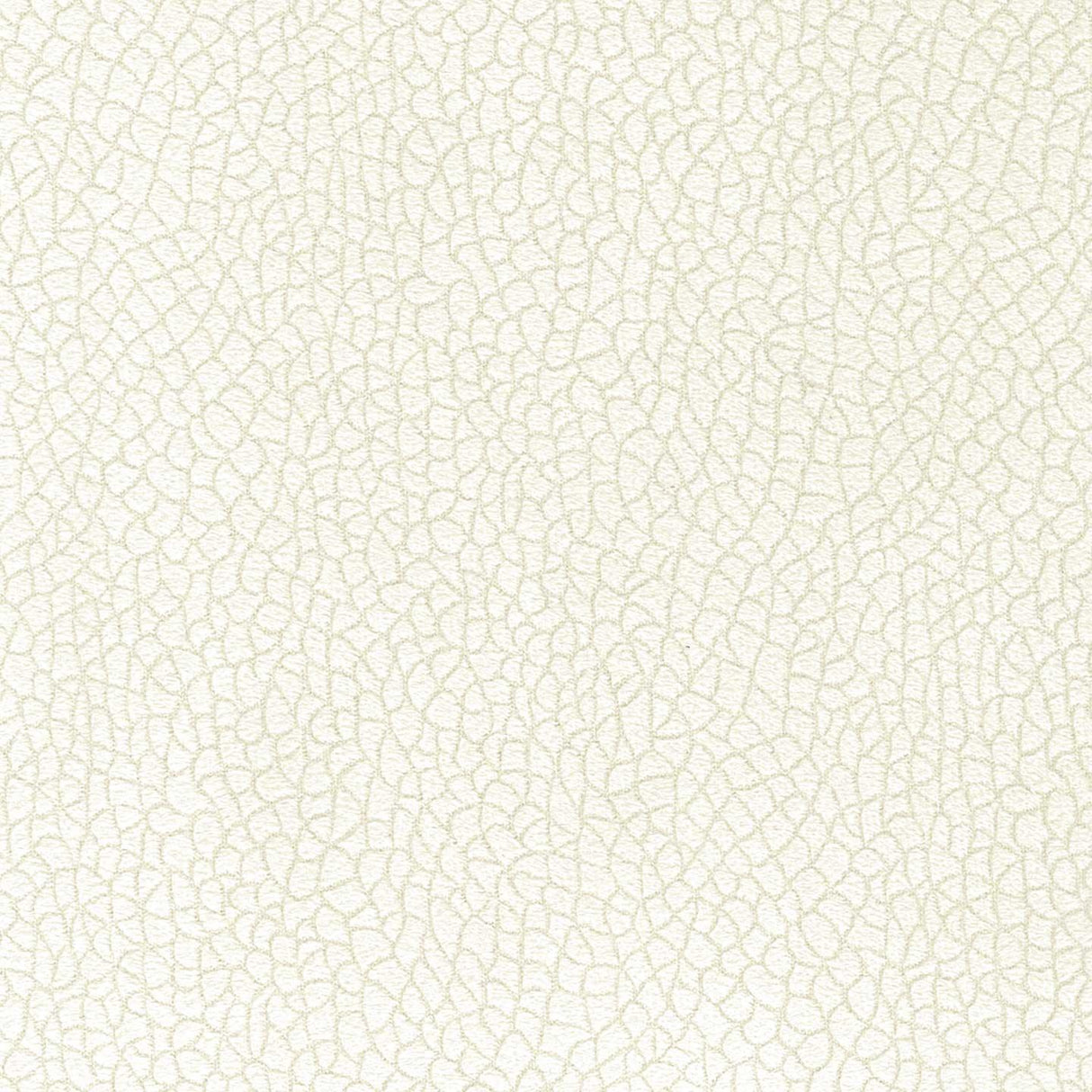 Bora Terra 01