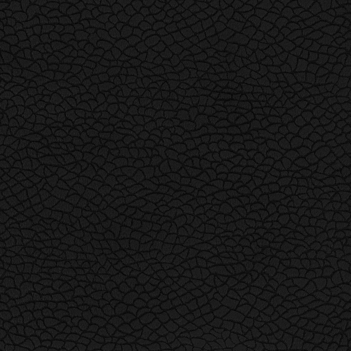 Bora Terra 02