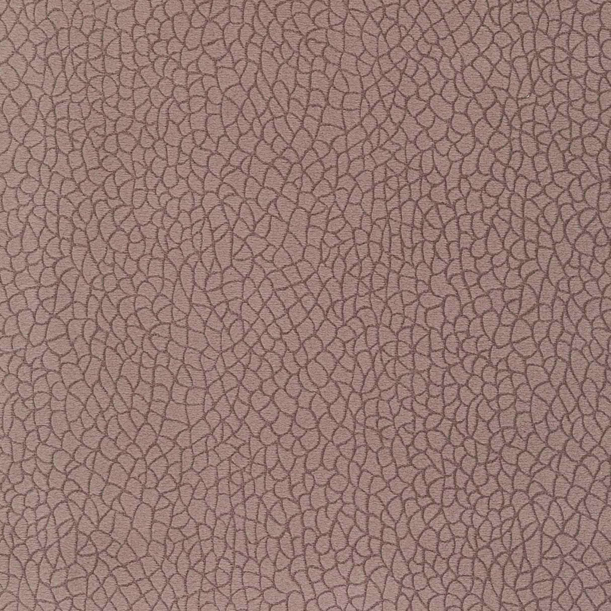Bora Terra 13