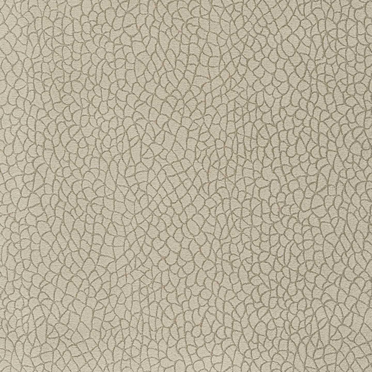 Bora Terra 14