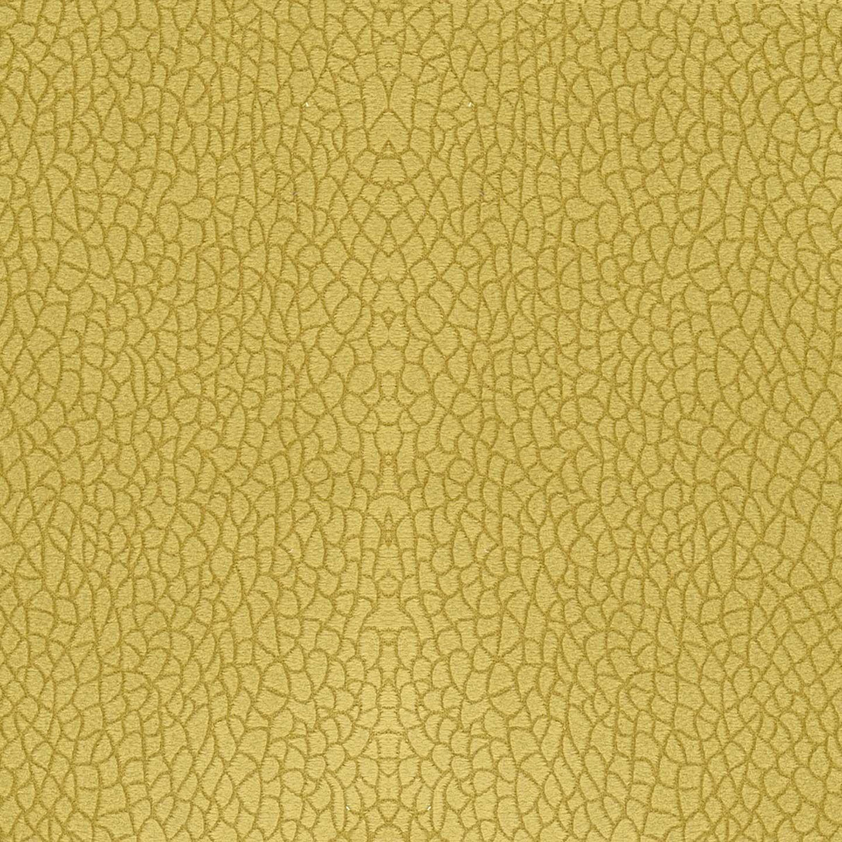 Bora Terra 25