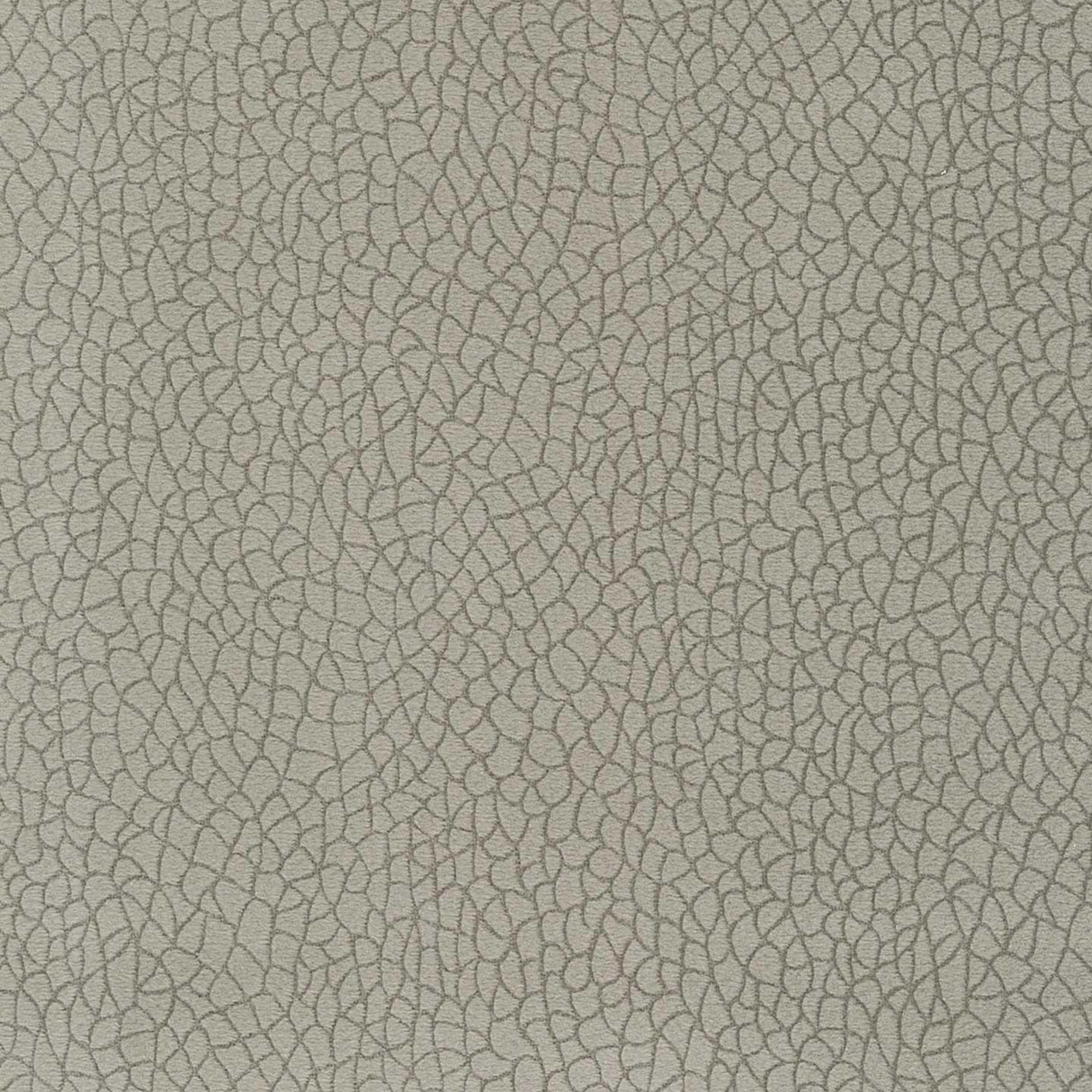 Bora Terra 34