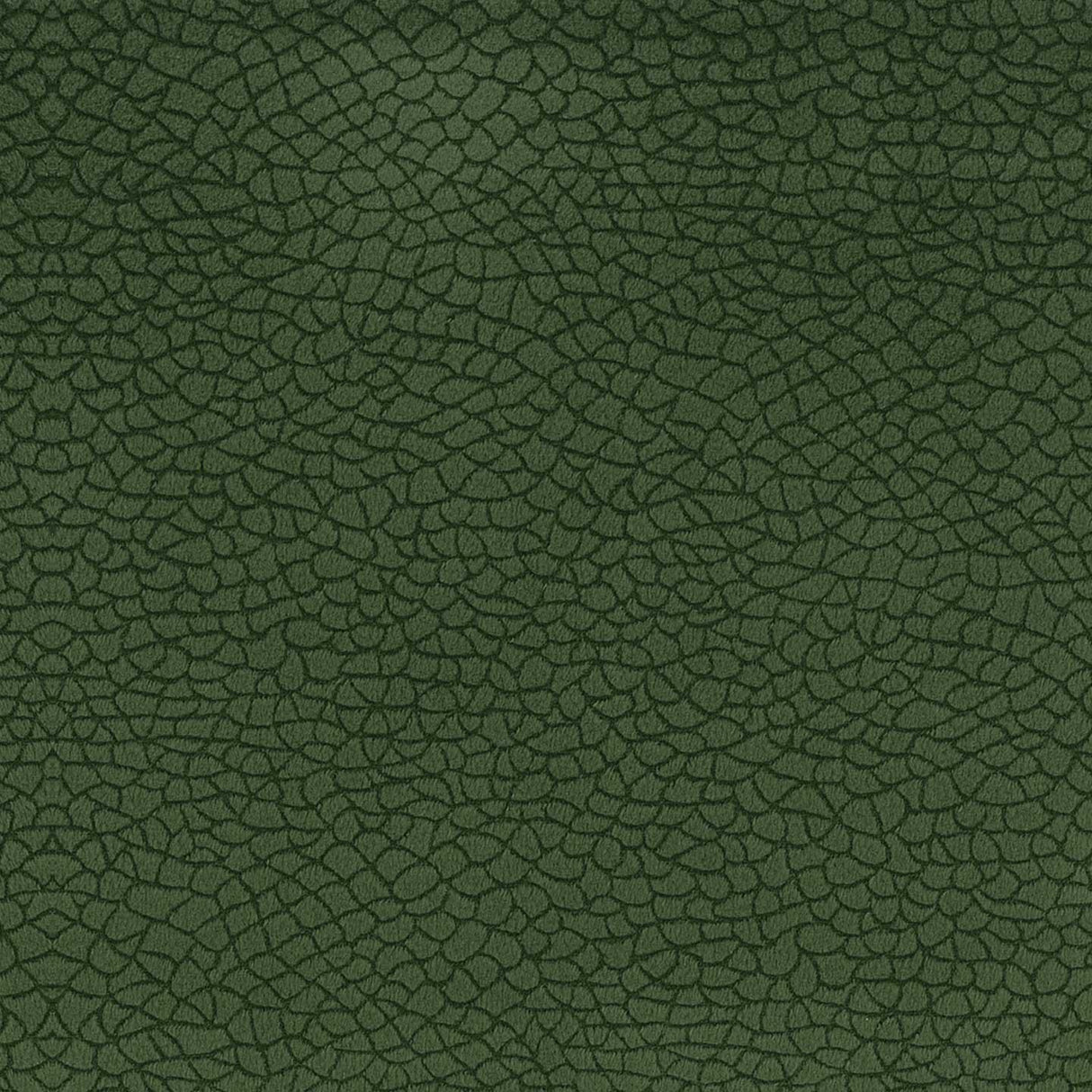 Bora Terra 48
