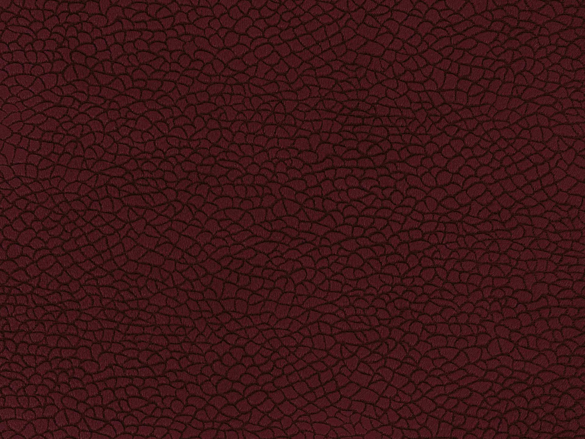 Bora Terra 53