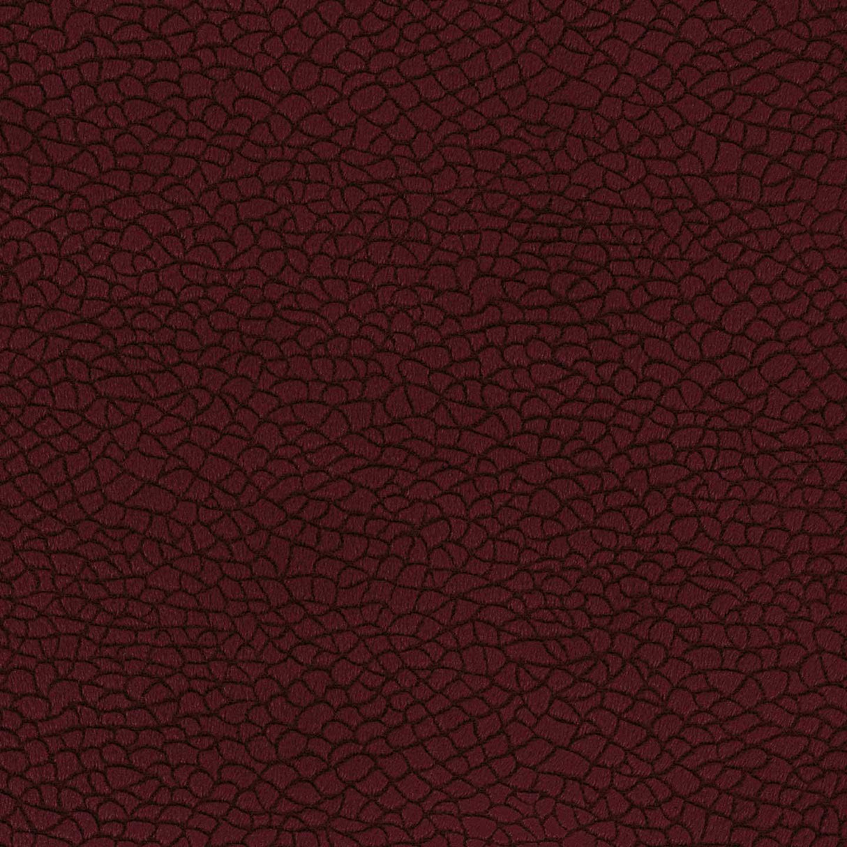 Bora Terra 53