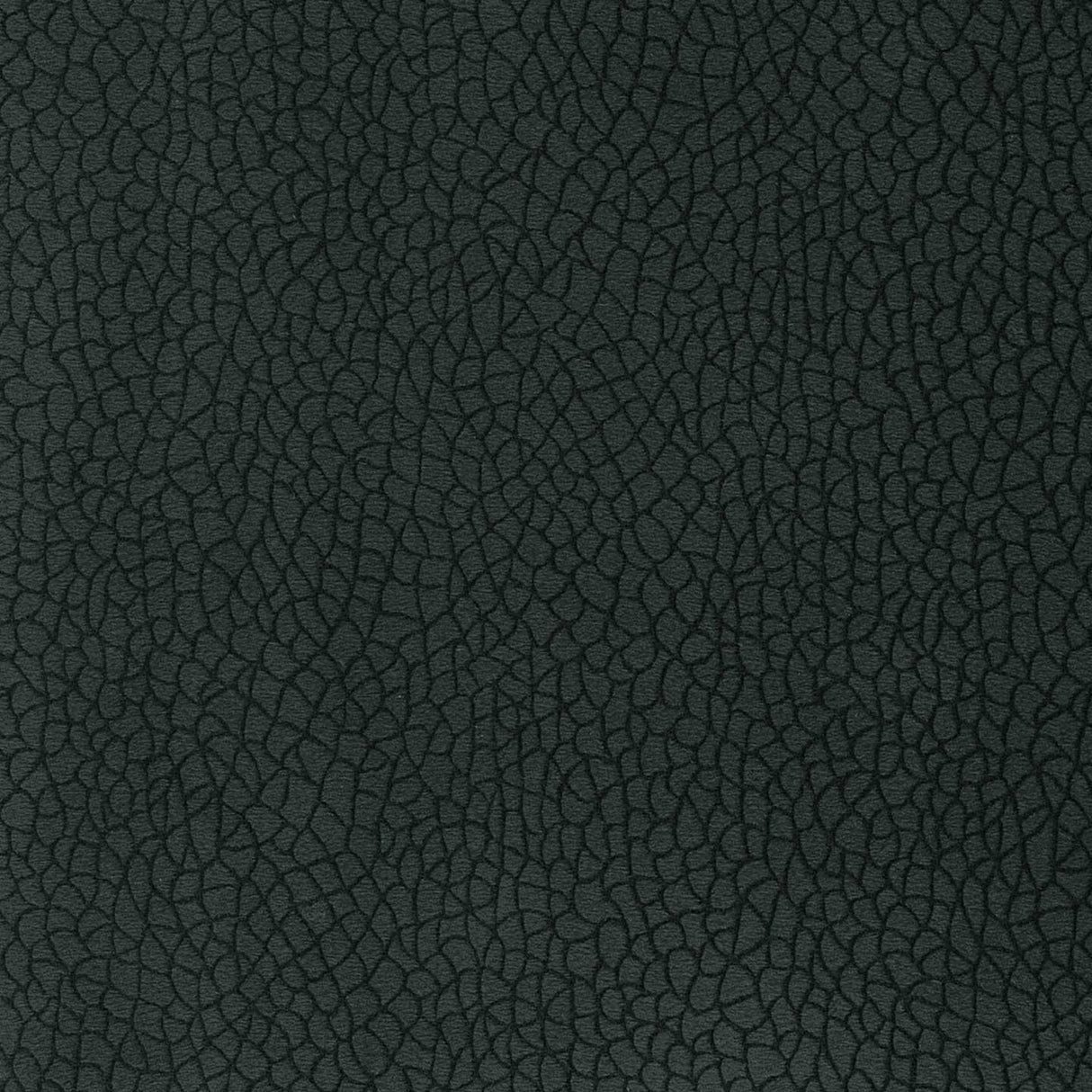 Bora Terra 56