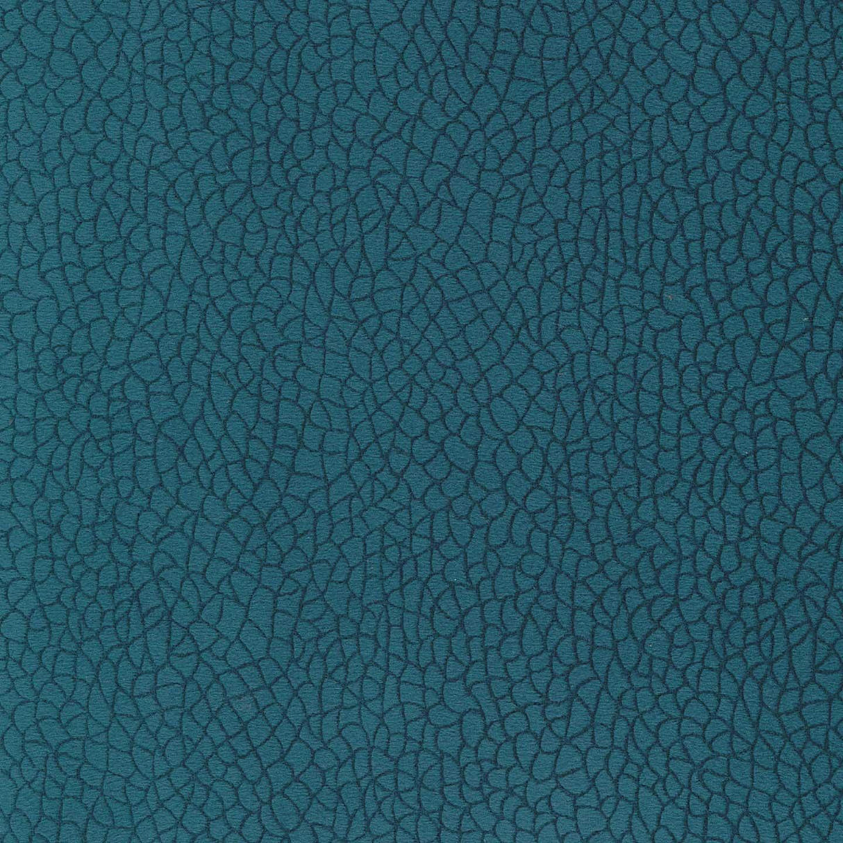 Bora Terra 67
