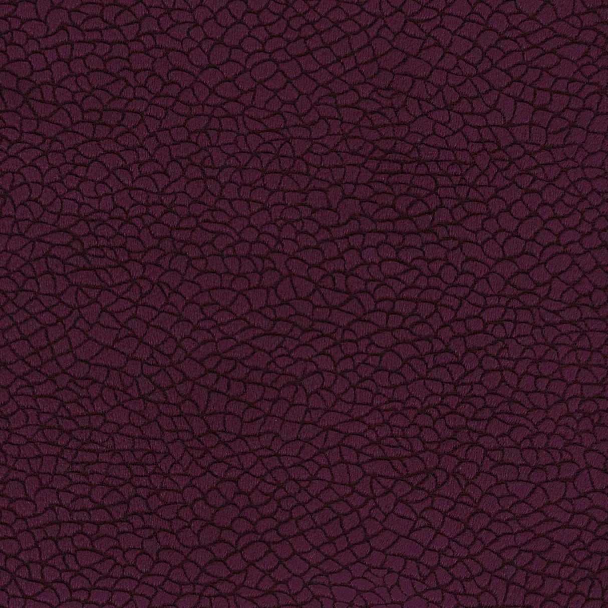 Bora Terra 79