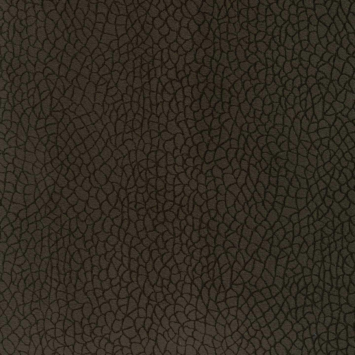 Bora Terra 84