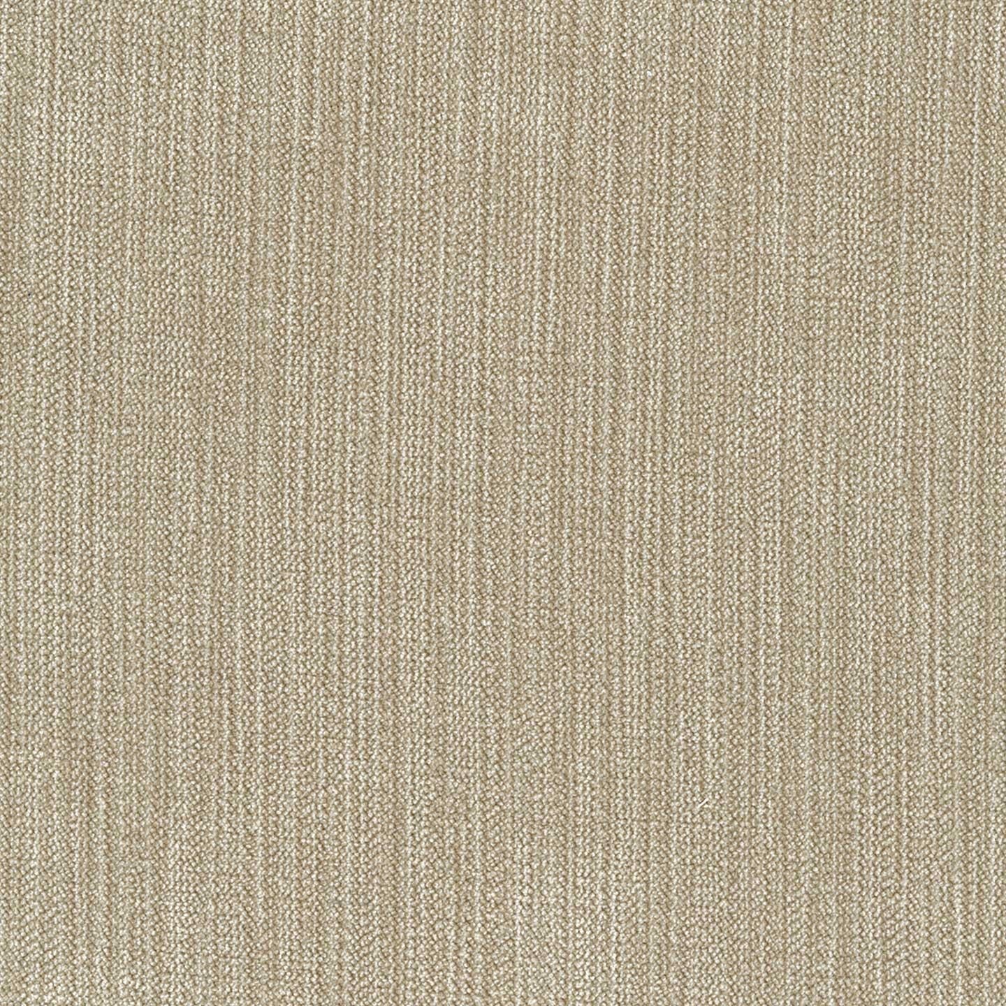 Chenille 24