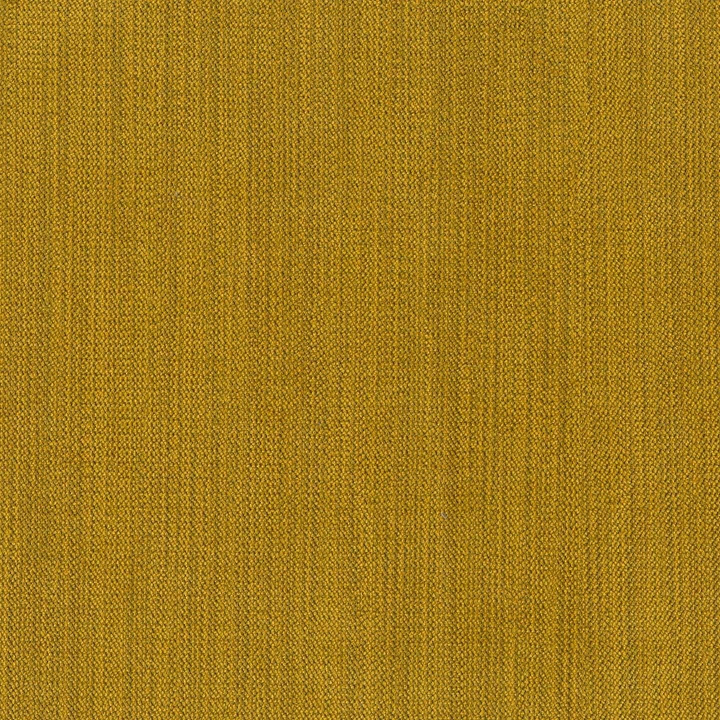 Chenille 35