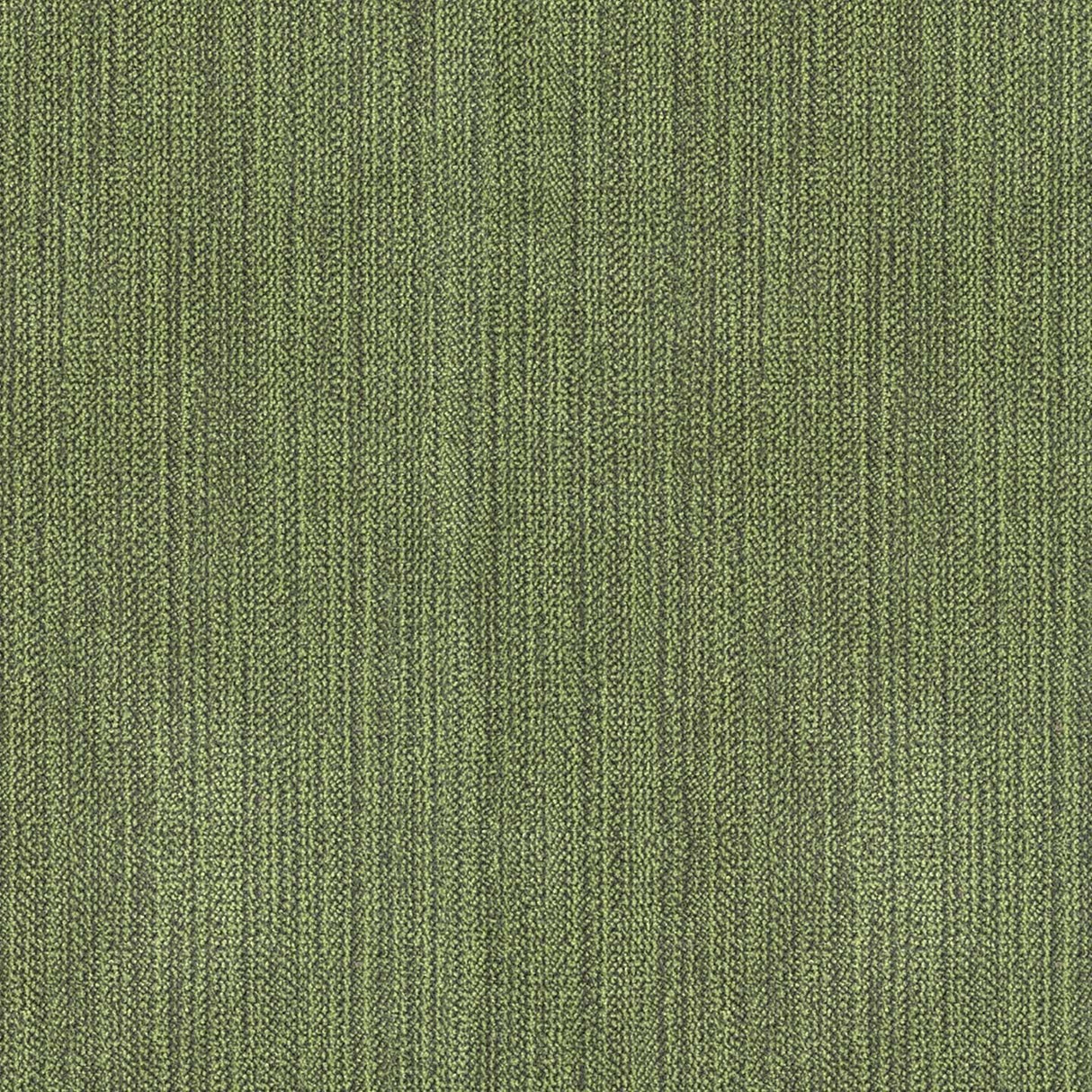 Chenille 38