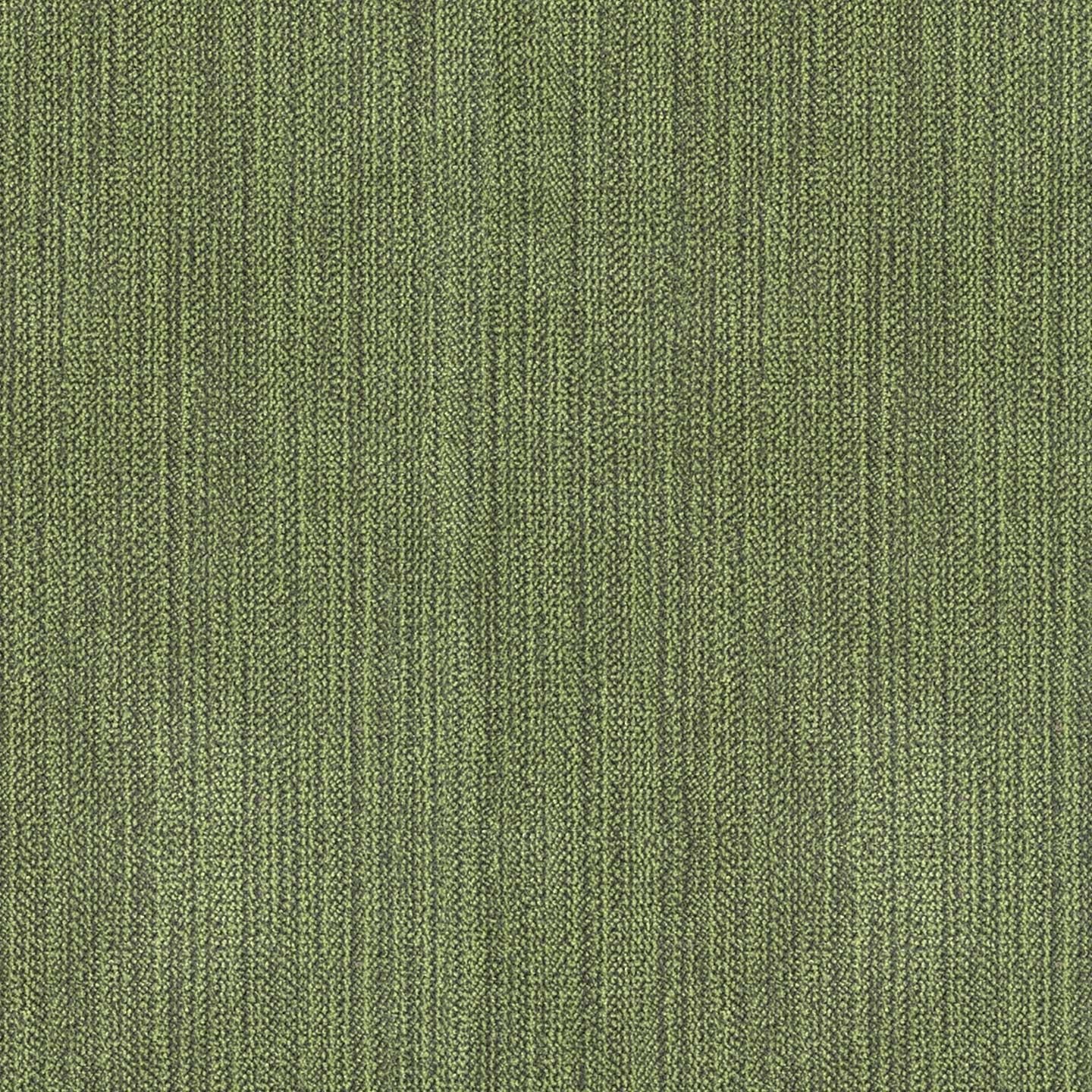 Chenille 38