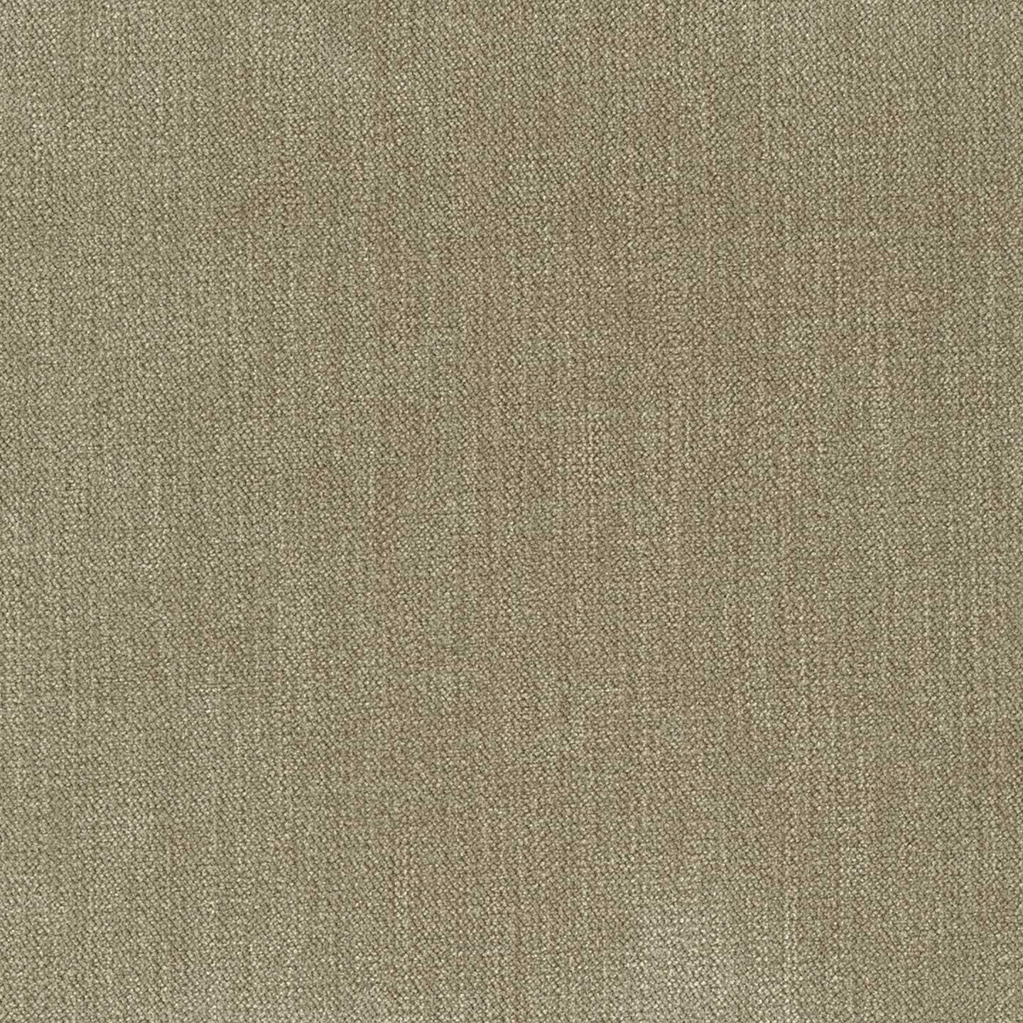 Chenille 44