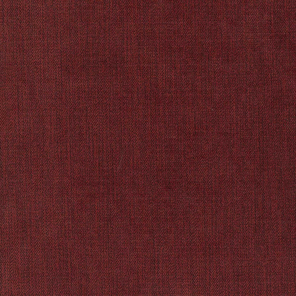 Chenille 53