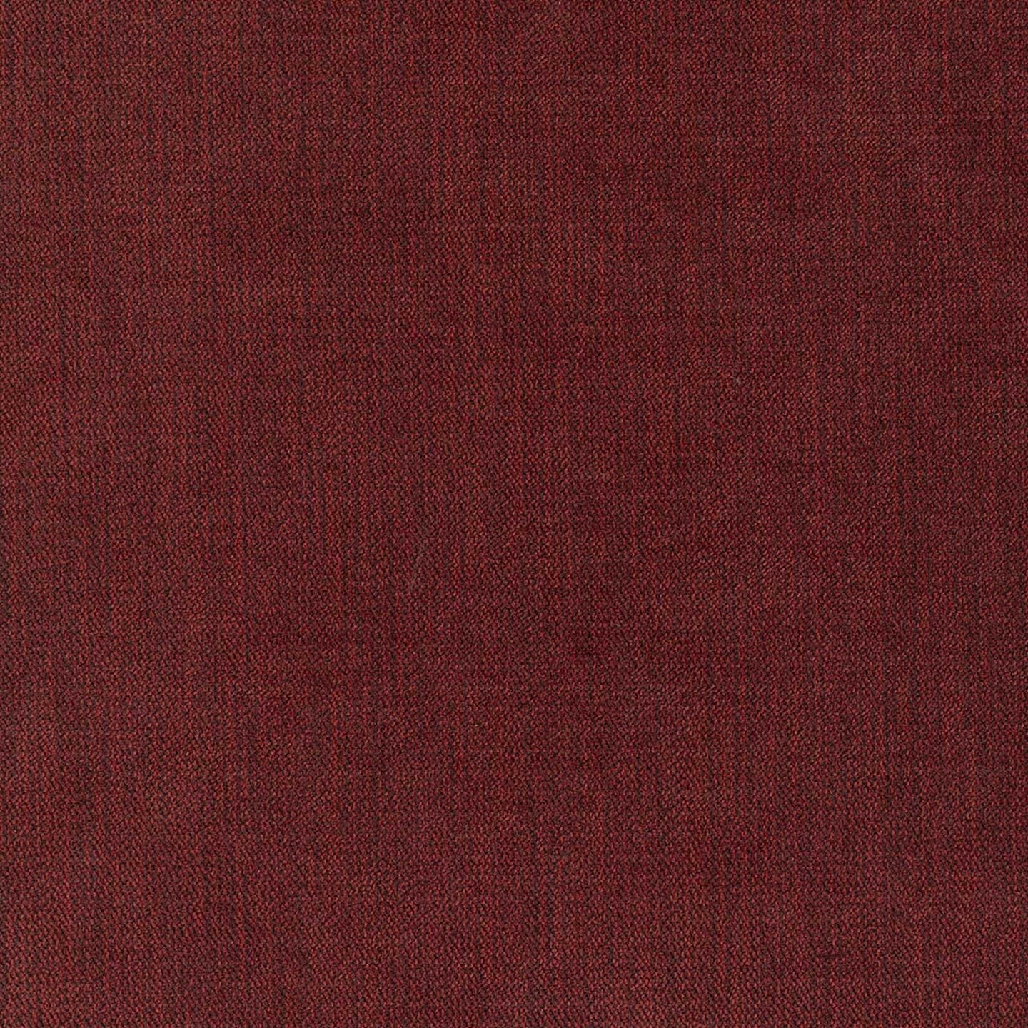 Chenille 53