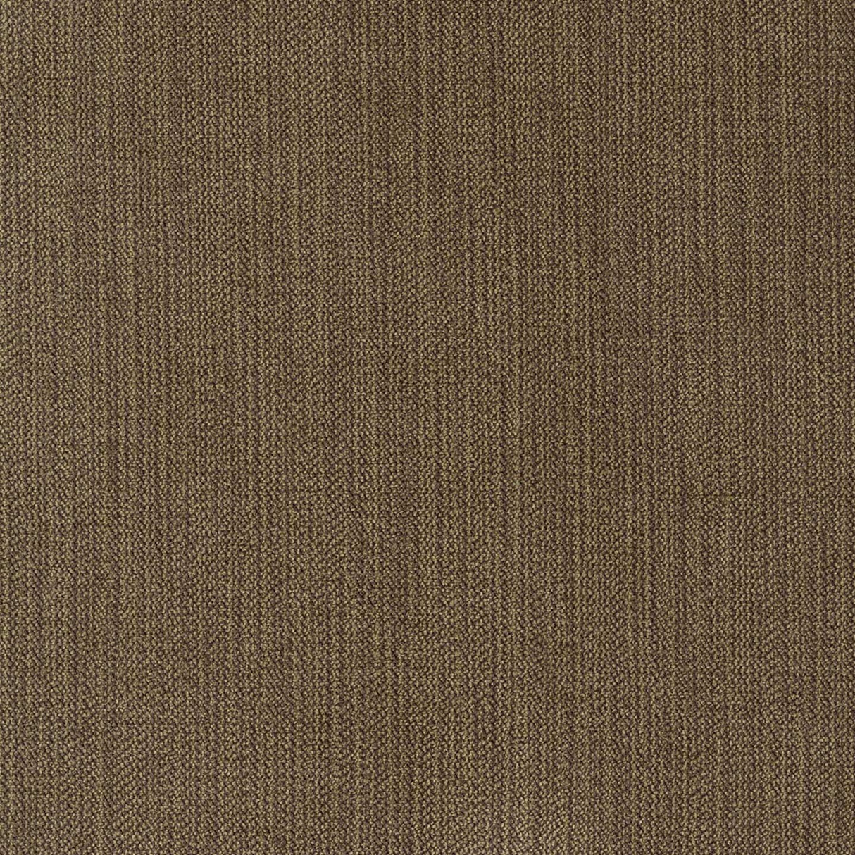 Chenille 54
