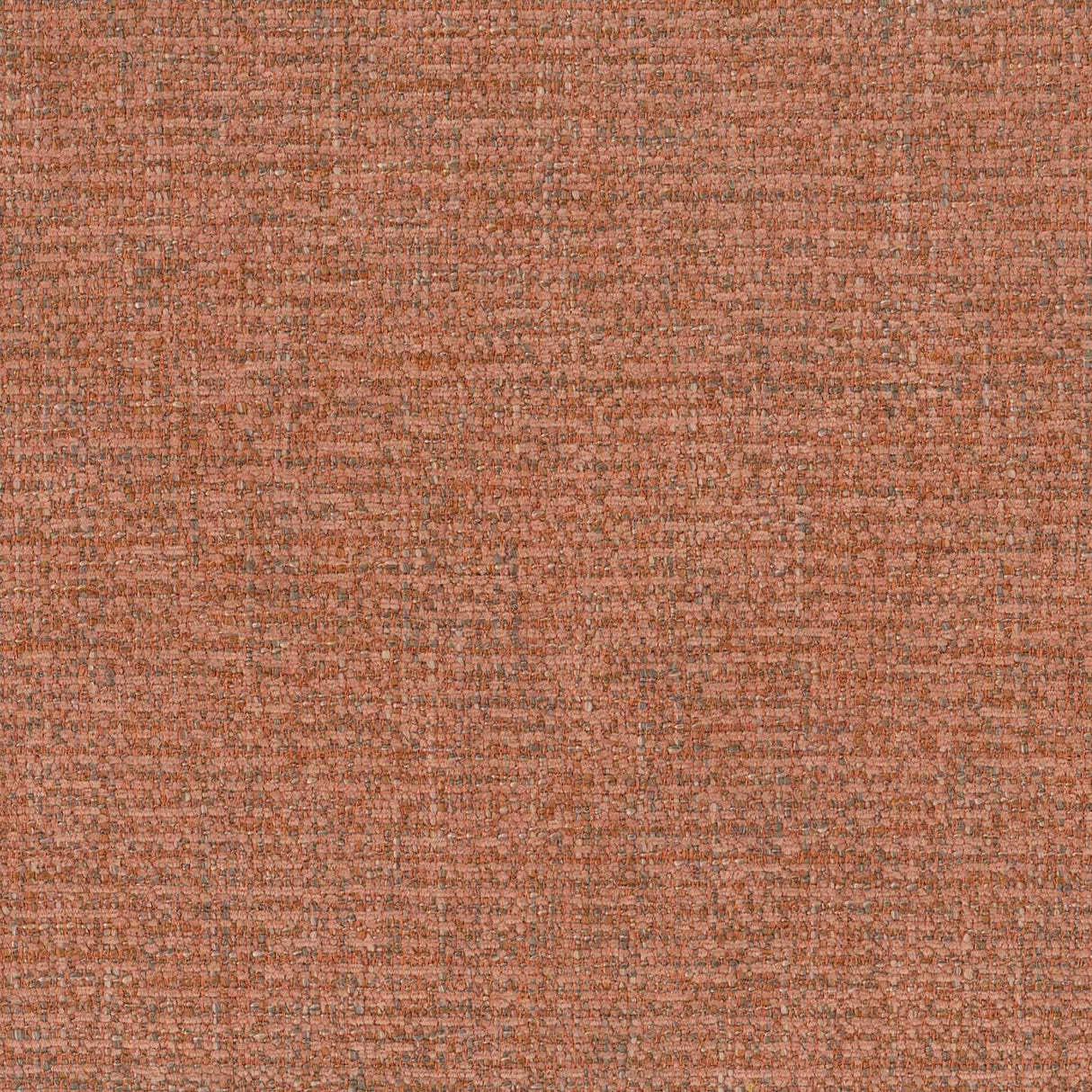 Flavia 49