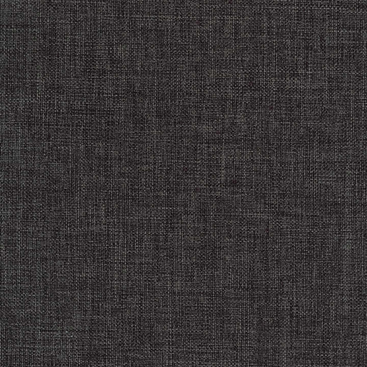 Fortis 36