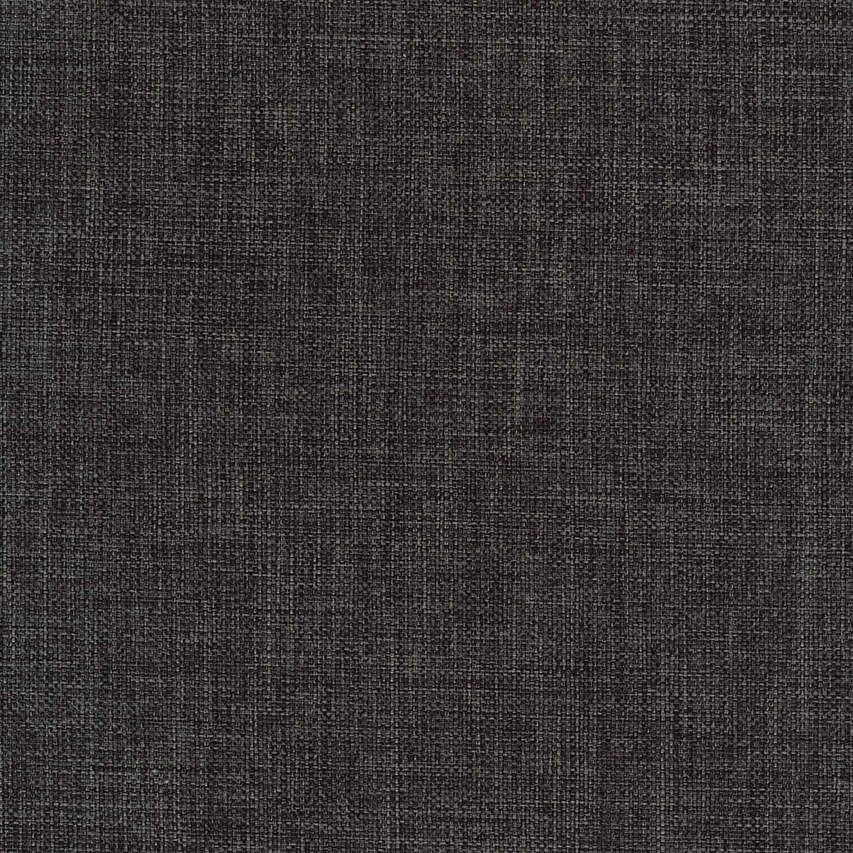 Fortis 36