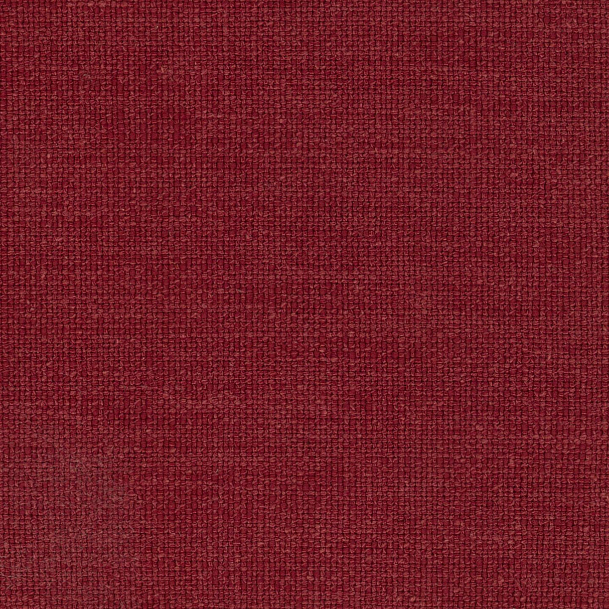 Jena 43