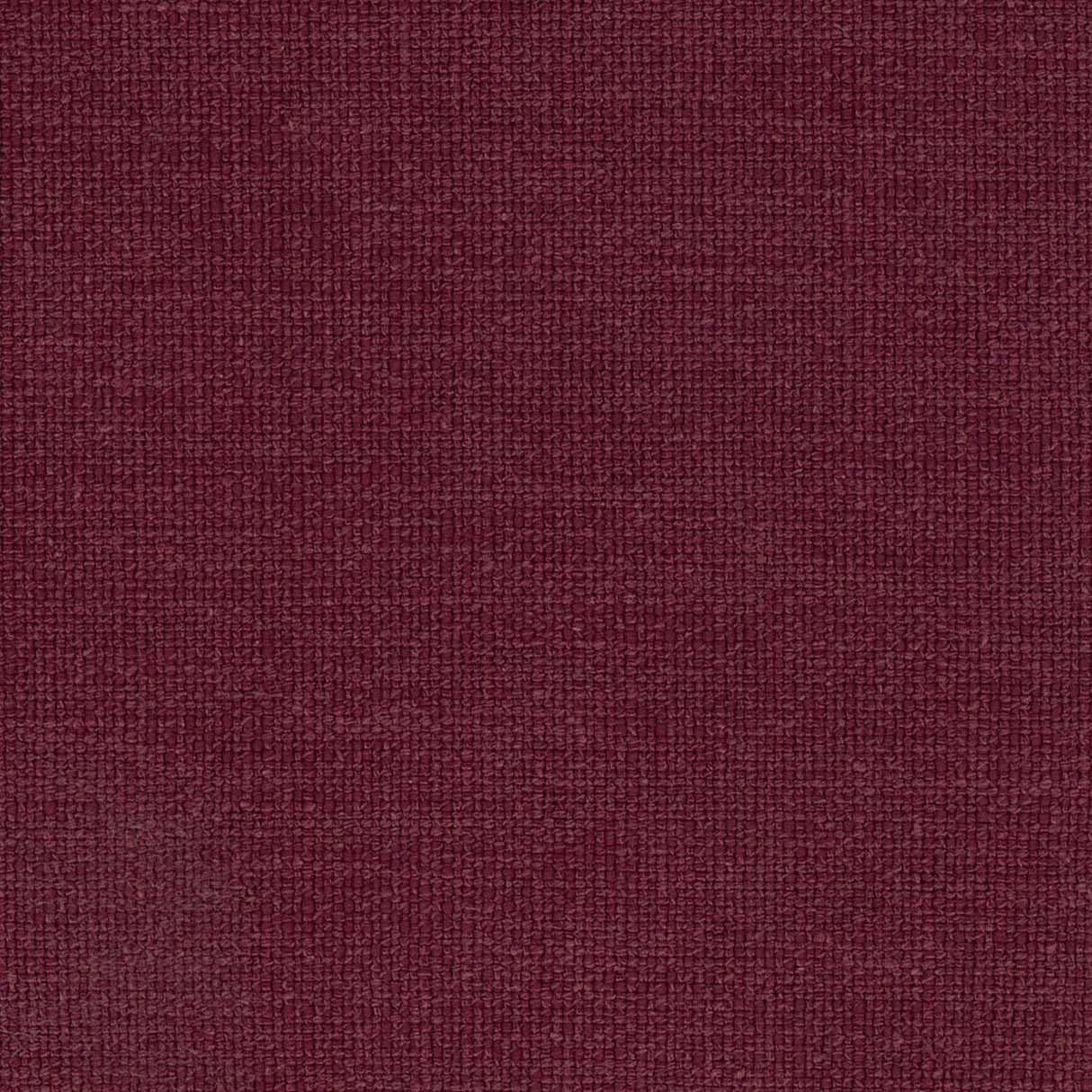 Jena 53