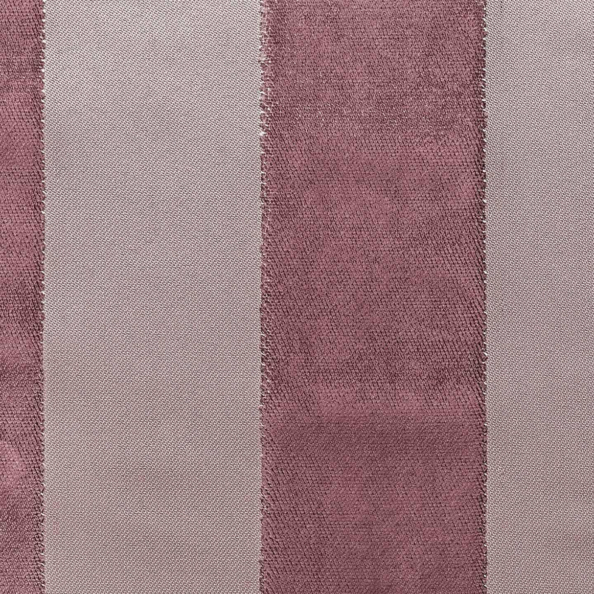 Lumina Stripe 79