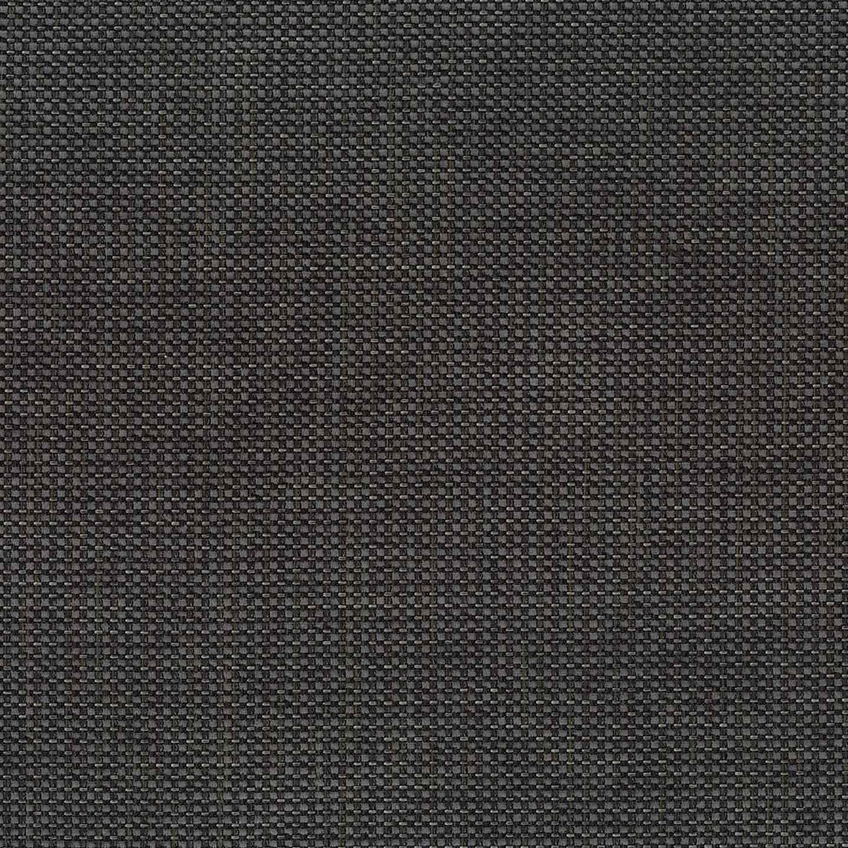 Magnus 64