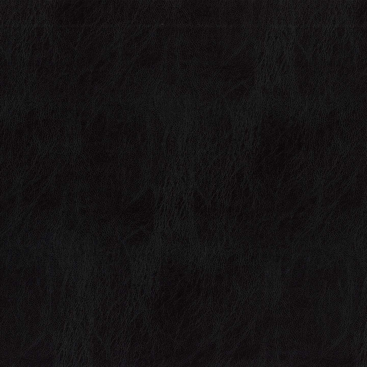 Ocean 02