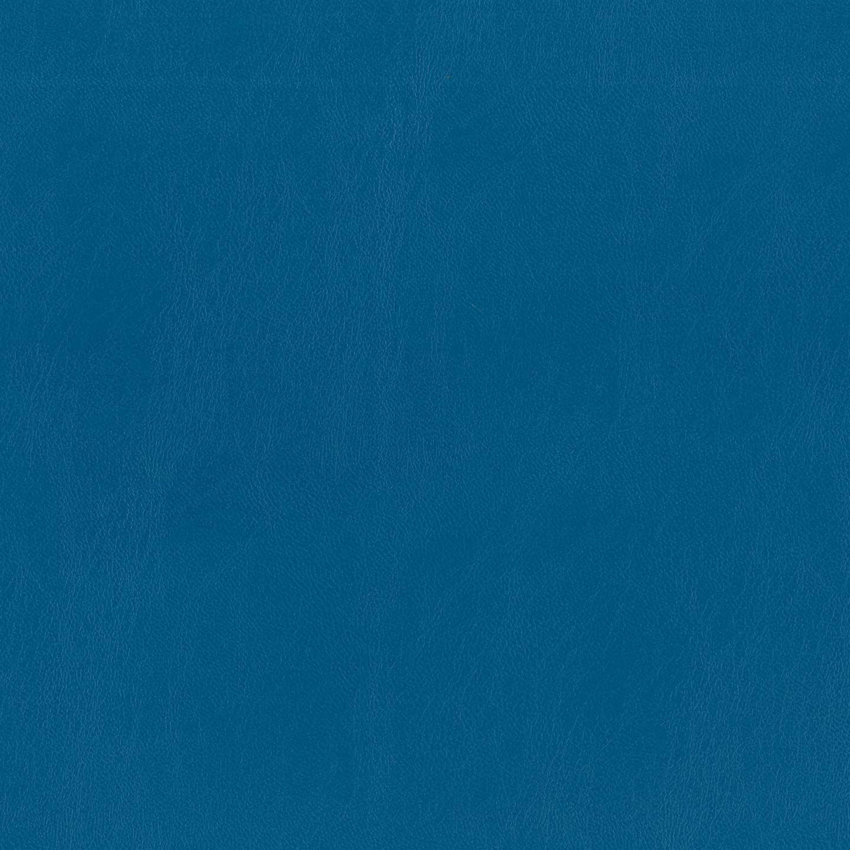 Ocean 57
