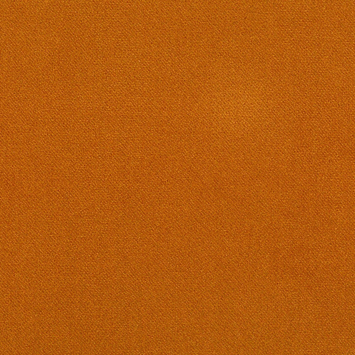 Piano 19