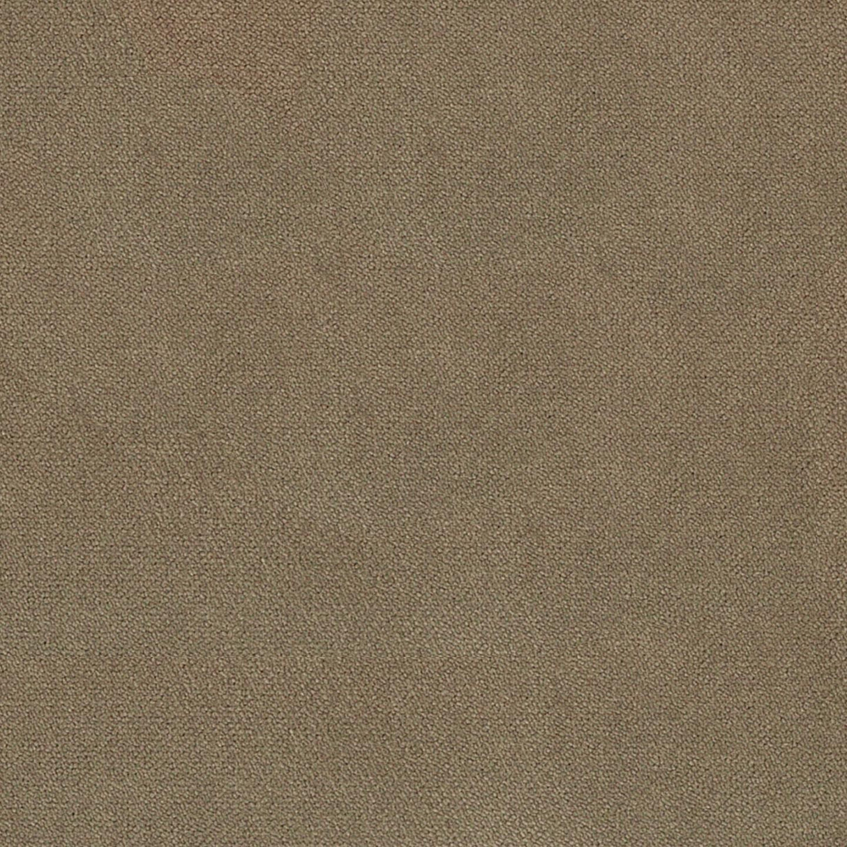 Piano 44