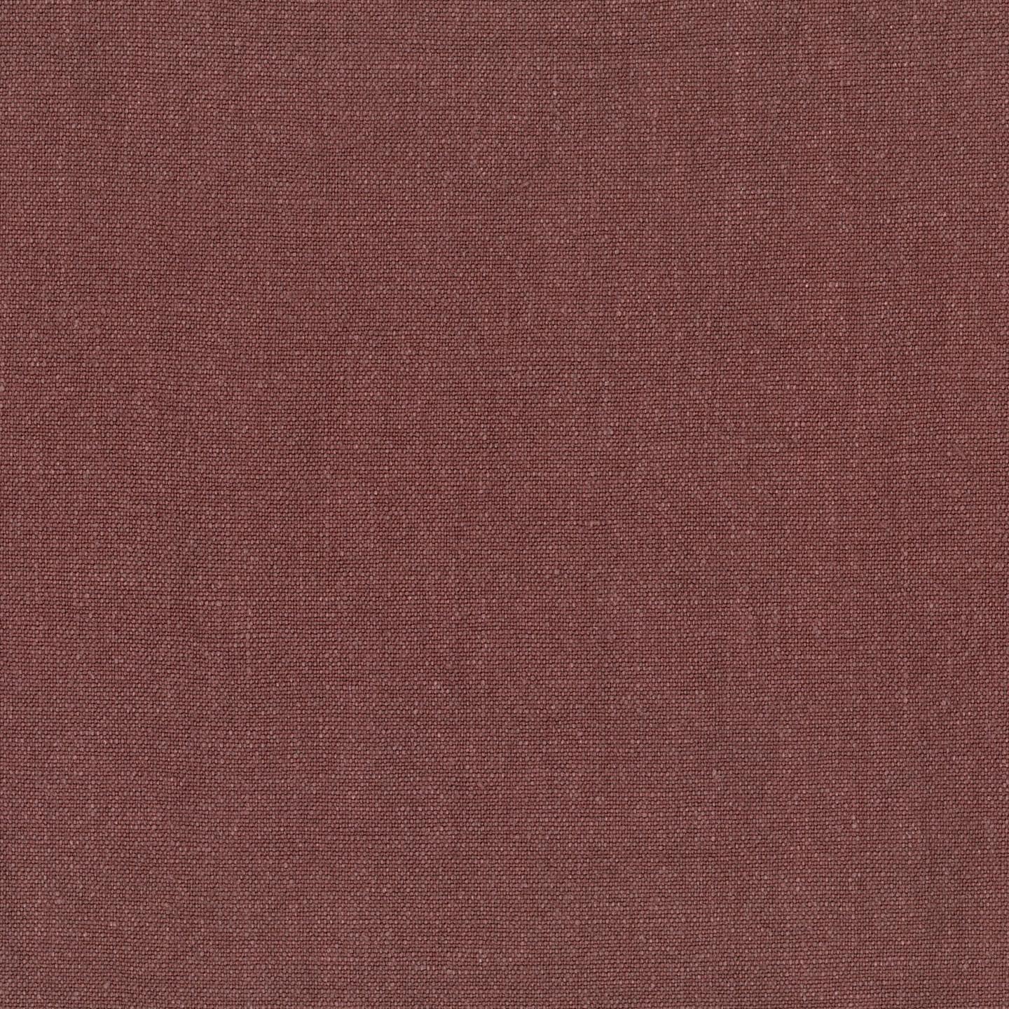 Sahara 43
