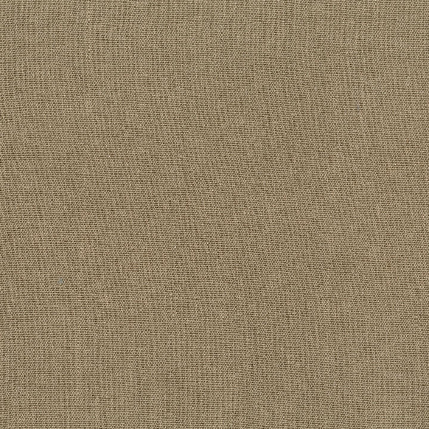 Sahara 54