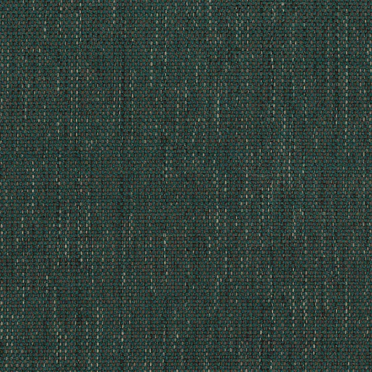 Sense 58
